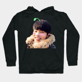 Cute sprout Hakyeon (N) | VIXX Hoodie